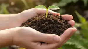 Kompetencje Ekologiczne kompetencje ekologiczne