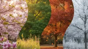 pory roku po hiszpańsku