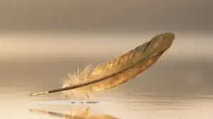 Złote Myśli Motywacyjne zlote mysli motywacyjne