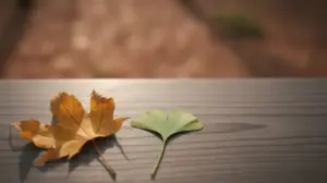 Bynajmniej Czy Przynajmniej?