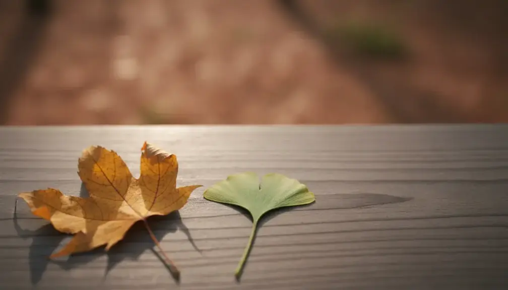 Bynajmniej Czy Przynajmniej?
