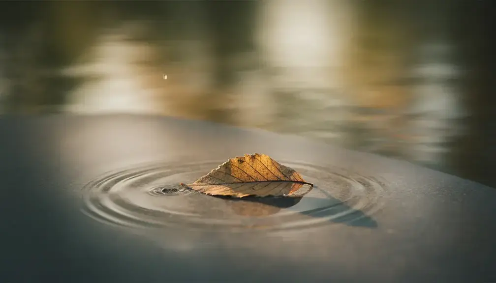 Co oznacza wyrażenie „z powodu”?