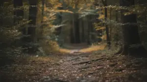 W Głąb Czy Wgłąb?