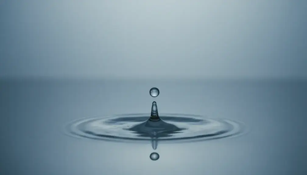 Co oznacza womp womp?